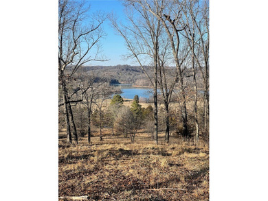 19.39 Acres m/l Excellent hilltop overlooking the Lake in 3 - photo 3