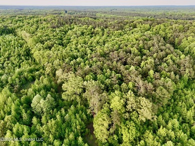 This exceptional 176+/- acre tract in Tippah County offers a - photo 13
