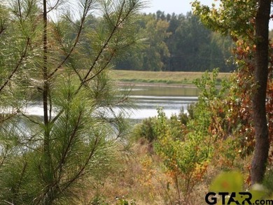 Privacy, privacy, privacy at its best! Lot 25B is located on a - photo 15