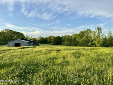 This exceptional 176+/- acre tract in Tippah County offers a - photo 16
