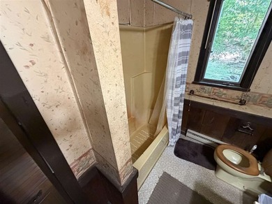 Charming Walloon Peninsula Fixer-Upper with Protected Privacy & - photo 16