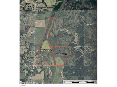 This exceptional 176+/- acre tract in Tippah County offers a - photo 18