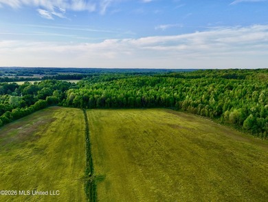 This exceptional 176+/- acre tract in Tippah County offers a - photo 19