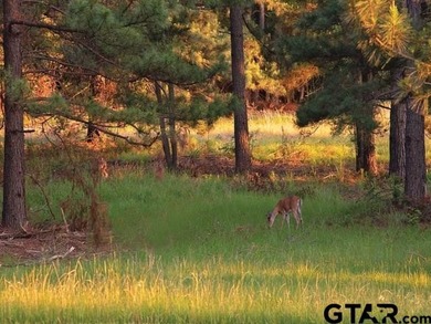 Privacy, privacy, privacy at its best! Lot 25B is located on a - photo 23