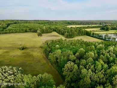 This exceptional 176+/- acre tract in Tippah County offers a - photo 27