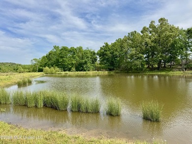 This exceptional 176+/- acre tract in Tippah County offers a - photo 28