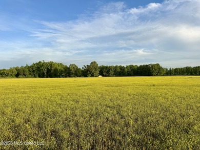 This exceptional 176+/- acre tract in Tippah County offers a - photo 33