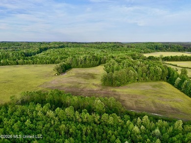 This exceptional 176+/- acre tract in Tippah County offers a - photo 37