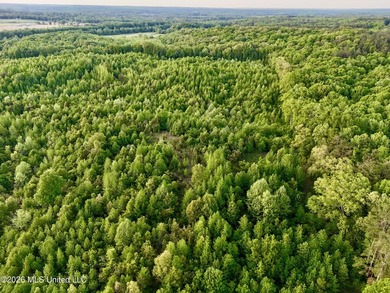 This exceptional 176+/- acre tract in Tippah County offers a - photo 38
