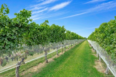 Step into the heart of North Fork wine country with the rare - photo 1