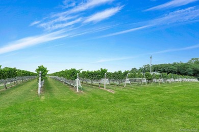 Step into the heart of North Fork wine country with the rare - photo 2