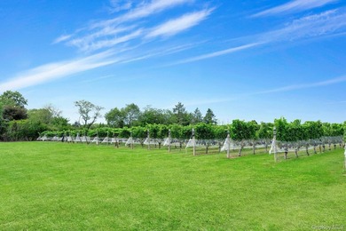 Step into the heart of North Fork wine country with the rare - photo 3