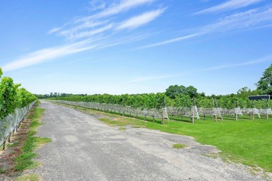 Step into the heart of North Fork wine country with the rare - photo 9