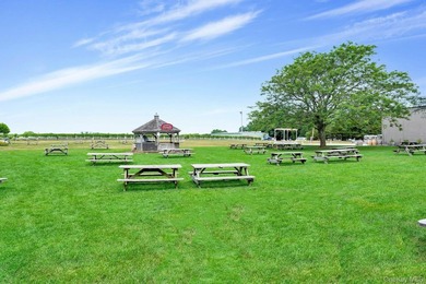 Step into the heart of North Fork wine country with the rare - photo 10