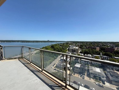 Penthouse 1.5 bedroom apt with over 900 square feet of luxury - photo 8