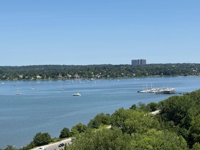 Penthouse 1.5 bedroom apt with over 900 square feet of luxury - photo 9