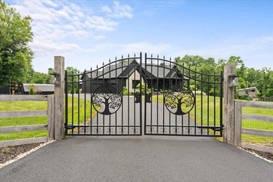Modern farmhouse meets luxury retreat at this like-new - photo 2