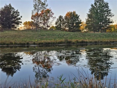 Lake Lot For Sale in Chippewa Falls, Wisconsin