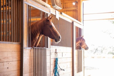Immaculately maintained Working Horse Ranch nestled on 54.031 - photo 26