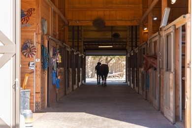 Immaculately maintained Working Horse Ranch nestled on 54.031 - photo 27