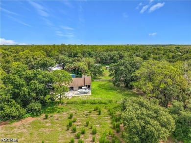 Nestled on just over an acre in North Fort Myers, this charming - photo 42