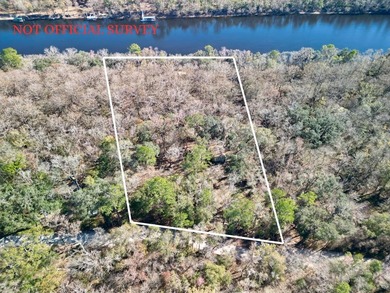 Suwannee River Home For Sale in Old Town Florida