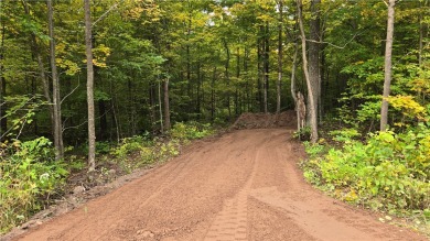 Deer Lake - Sawyer County Lot For Sale in Exeland Wisconsin