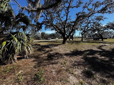 Beautiful Coastal Building / RV Lot near Steinhatchee, Florida! - photo 1