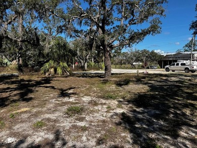Beautiful Coastal Building / RV Lot near Steinhatchee, Florida! - photo 2