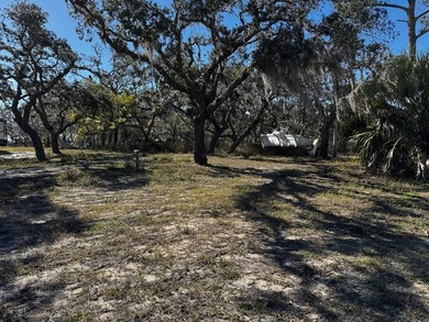 Beautiful Coastal Building / RV Lot near Steinhatchee, Florida! - photo 3