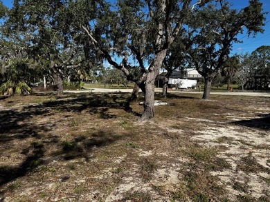 Beautiful Coastal Building / RV Lot near Steinhatchee, Florida! - photo 4