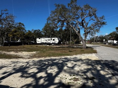 Beautiful Coastal Building / RV Lot near Steinhatchee, Florida! - photo 6