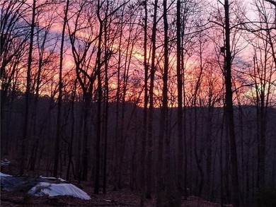 Beaver Lake Home For Sale in Eureka Springs Arkansas