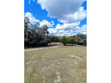 This charming 4-bedroom, 2-bath mobile home presents a fantastic - photo 3