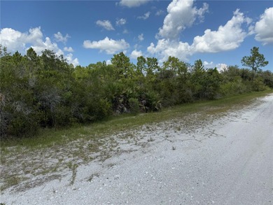 A prime North West corner lot located within the development - photo 11