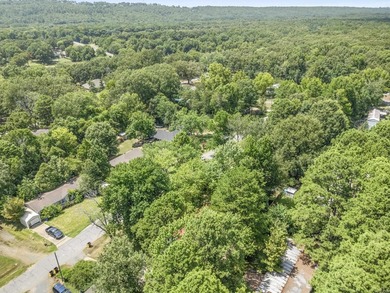 **Welcome home to 19 Norwood Drive in Mayflower!** This - photo 33