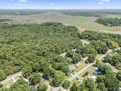 **Welcome home to 19 Norwood Drive in Mayflower!** This - photo 38