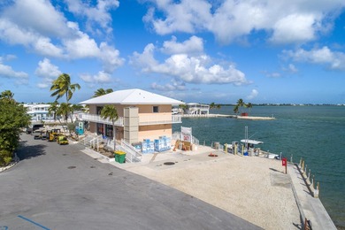 Spectacular peekaboo open water views abound with this updated 2 - photo 46