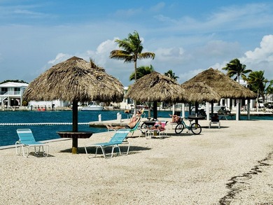 Spectacular peekaboo open water views abound with this updated 2 - photo 50