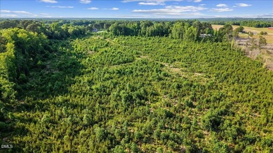 23 Acres in rural Johnston County, just 40 minutes from downtown - photo 11