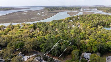 Exceptional interior homesite in Distant Island -- a - photo 2