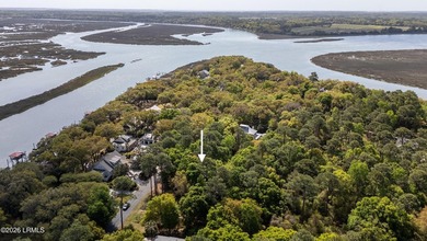 Exceptional interior homesite in Distant Island -- a - photo 3