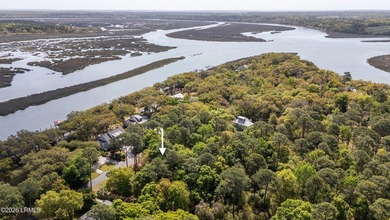 Exceptional interior homesite in Distant Island -- a - photo 7