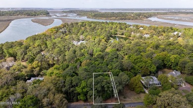 Exceptional interior homesite in Distant Island -- a - photo 8