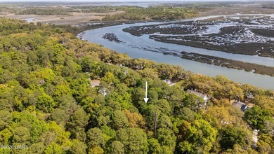 Exceptional interior homesite in Distant Island -- a - photo 10