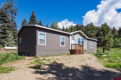 (private lake, pond, creek) Home For Sale in Durango Colorado