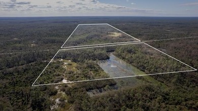 A rare opportunity awaits in the heart of Taylor County - photo 1