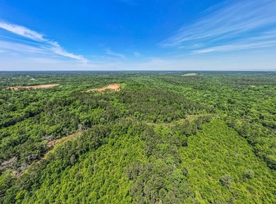 A rare opportunity awaits in the heart of Taylor County - photo 2