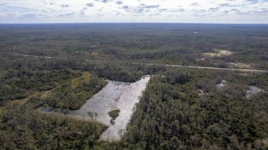 A rare opportunity awaits in the heart of Taylor County - photo 4