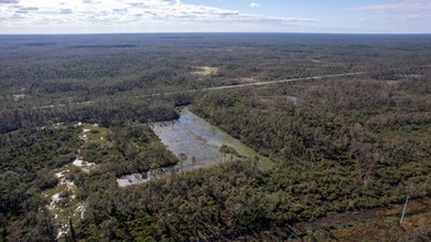 A rare opportunity awaits in the heart of Taylor County - photo 7